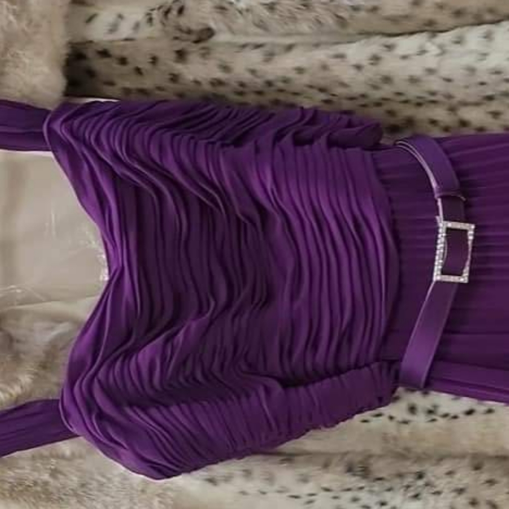 Ralph Lauren Floor Length Fuschia Dress Size 12